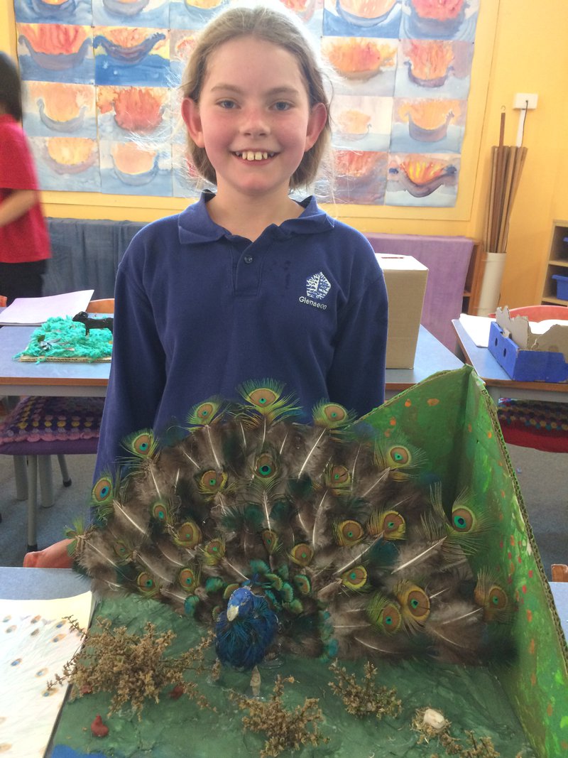 Class 4’s amazing animal projects