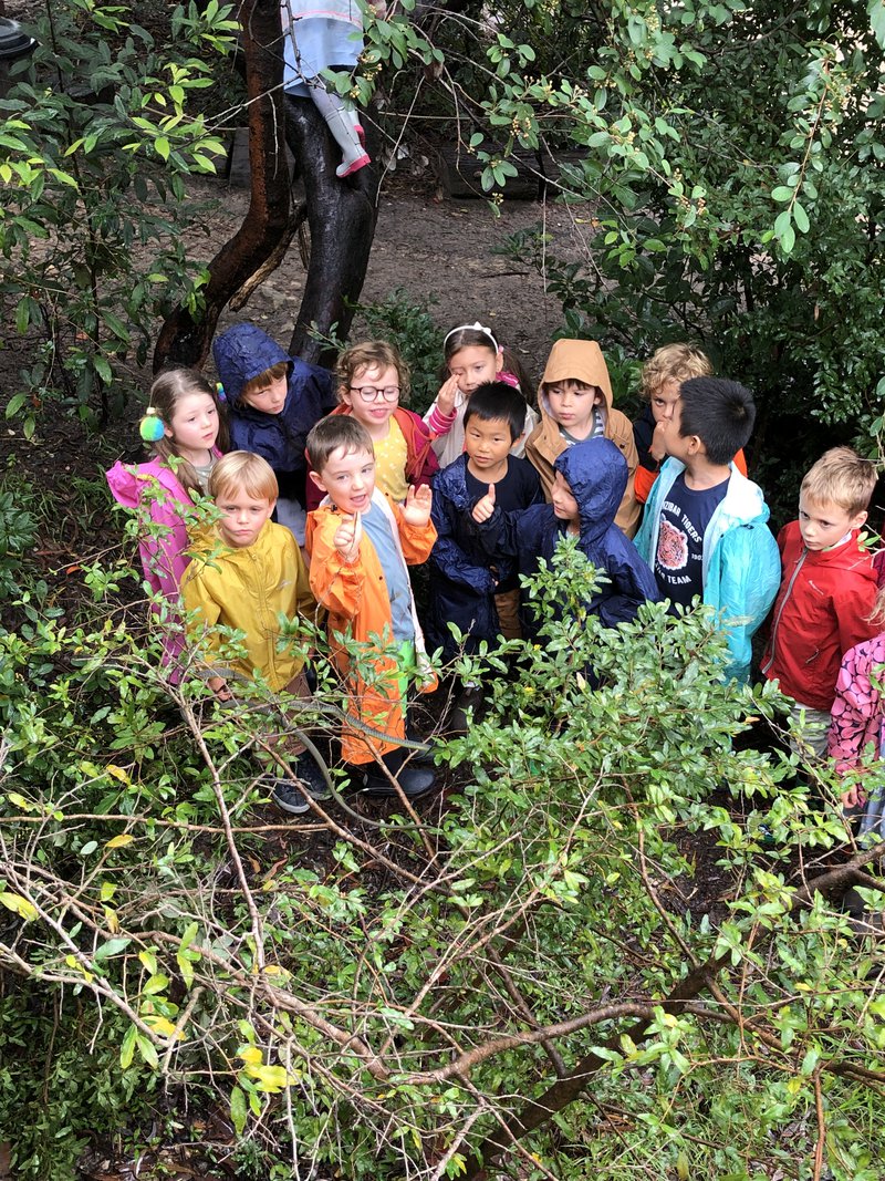 Kindergarten garden surprise