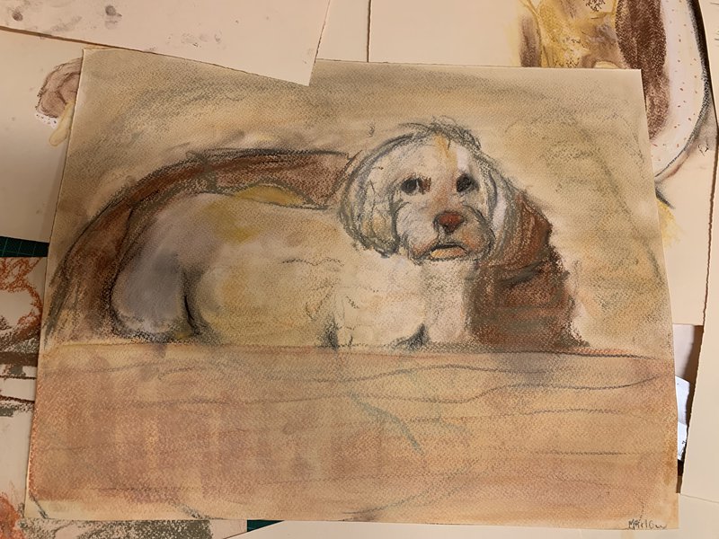 Year 9 Animal Artworks