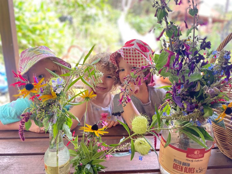 Harvest Gratitude Celebrations