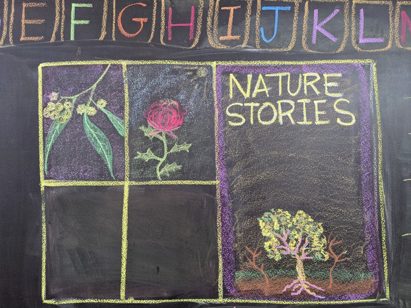 Class 1 Nature stories