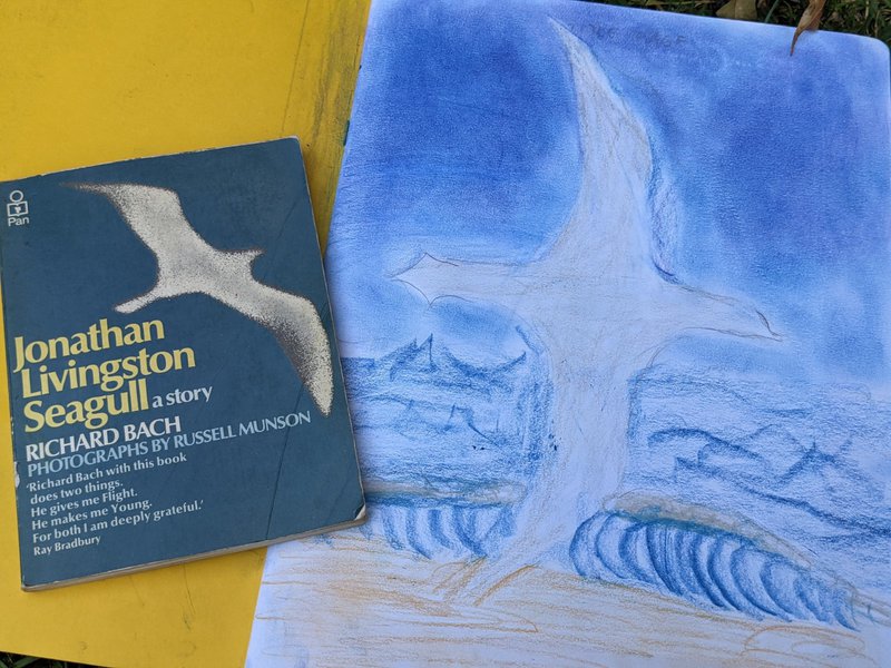 Year 7 - Wish, Wonder and Surprise