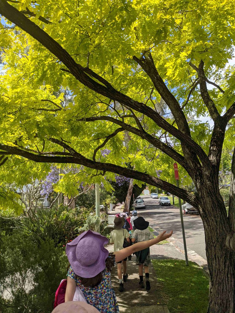 Class 2 visits big campus at Middle Cove