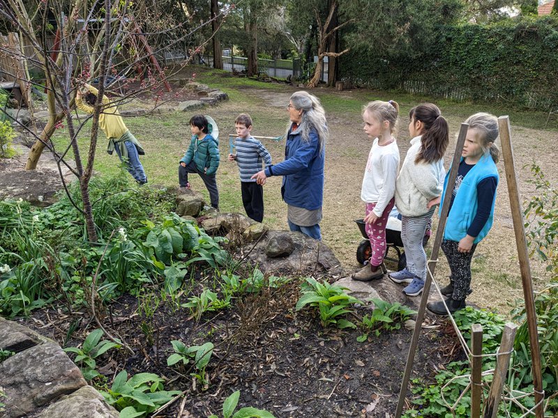 Class 2's garden sprouts