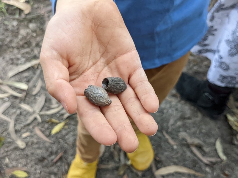 Class 1 make knitting needles