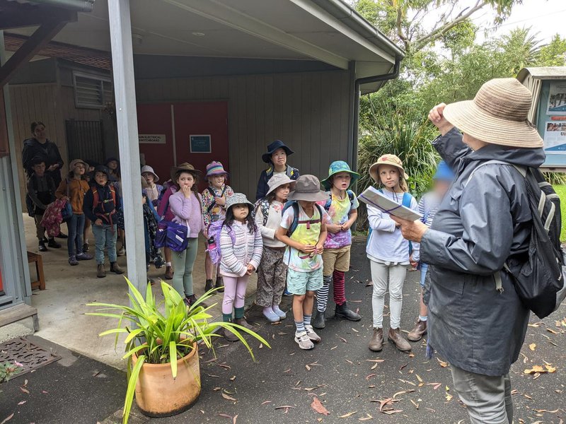 Class 1 bushwalking