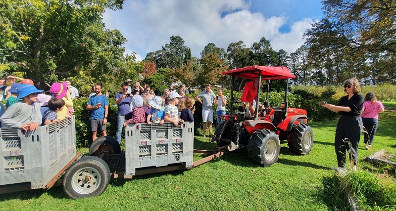 Preschool goes Apple Picking