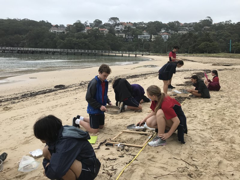 Year 10 visits the Sydney Institute of Marine Science