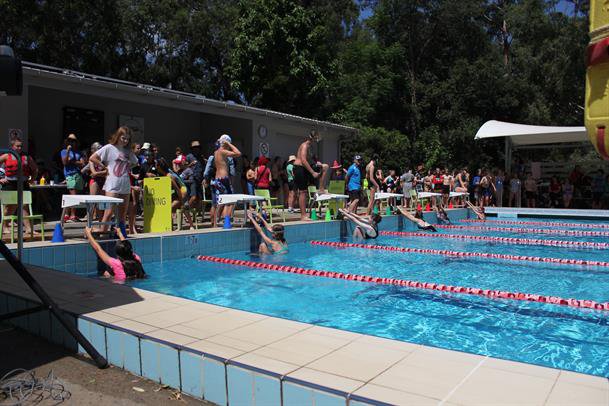 Combined swimming carnival