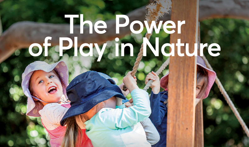 The Power of Play in Nature