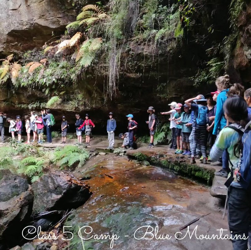Class Five Blue Mountains outdoor education camping trip
