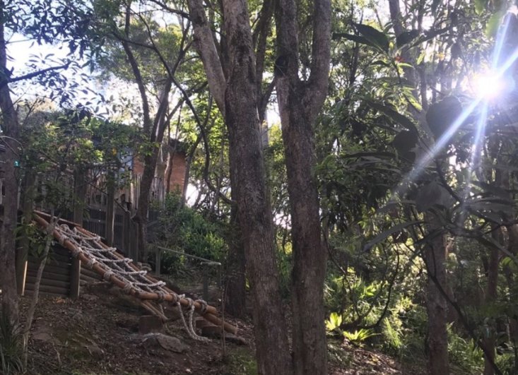 What’s In Store in Term Four?