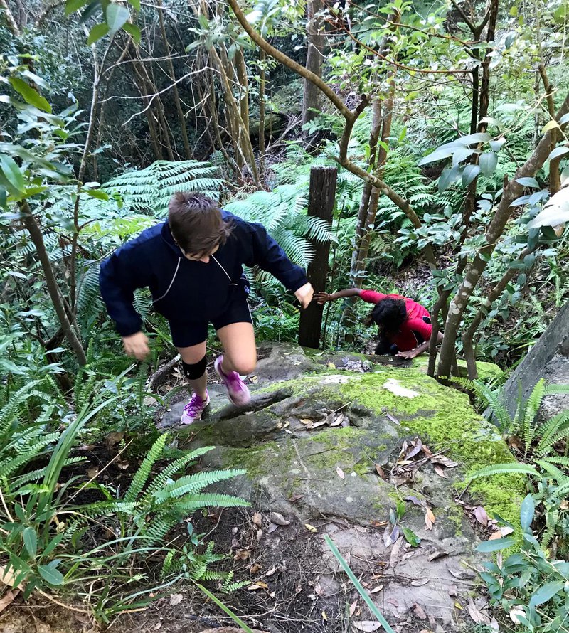 The Cove delivers after Coronavirus disrupts