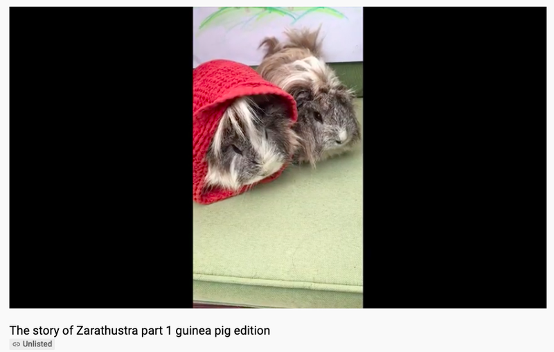 Primary School takes its Steiner Education online during COVID-19