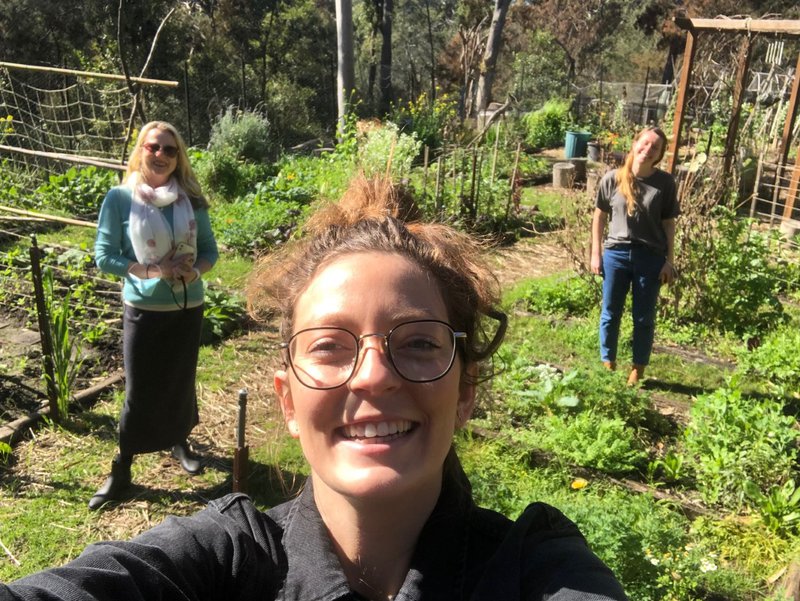 Serenity in the garden