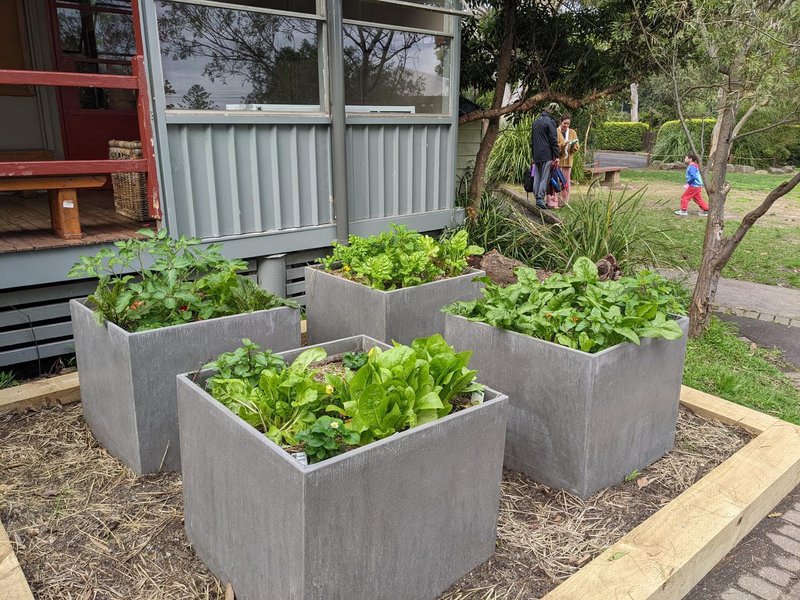 New Garden at Castlecrag Campus