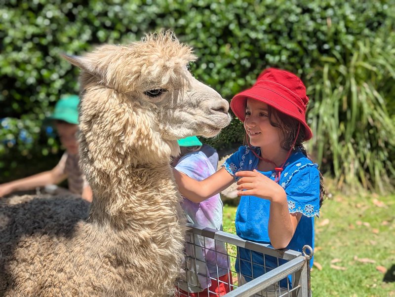 From Fleece to Yarn: Classes 1 and 2 Discover the Story of Wool
