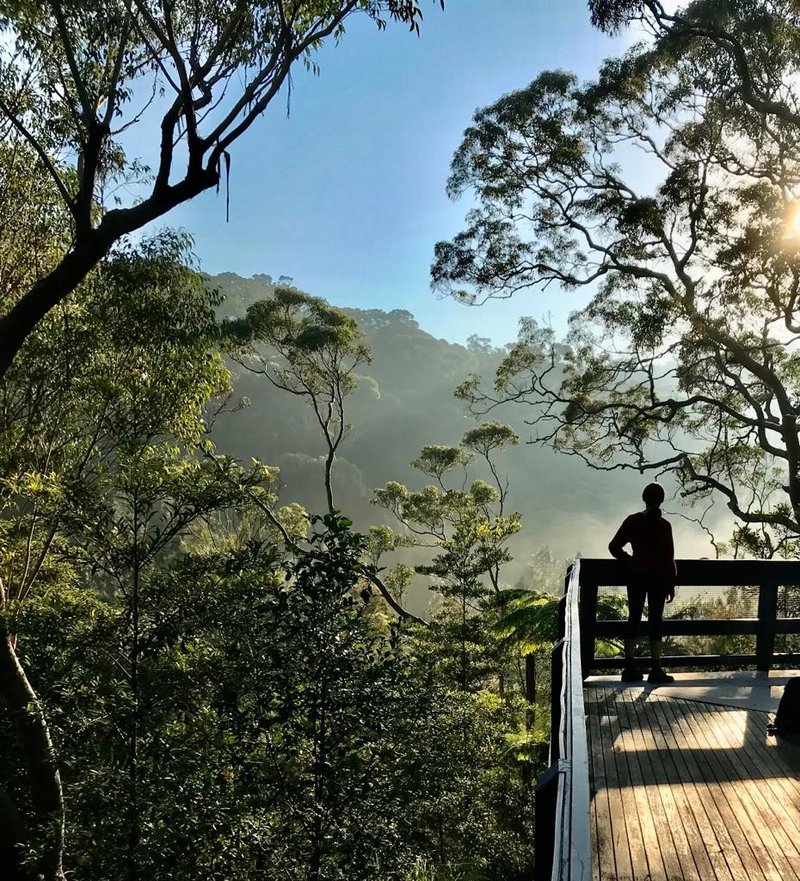 Morning yoga is back