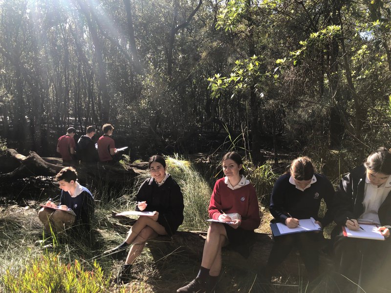 Year 10 Geography Field trips:  Environmental Change and Management