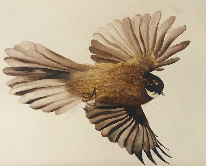 Remote Learning with Feathers