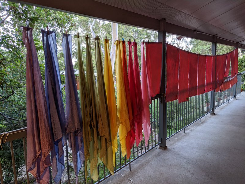 Caring for our Castlecrag campus