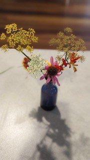 Thank you Flock Care Families