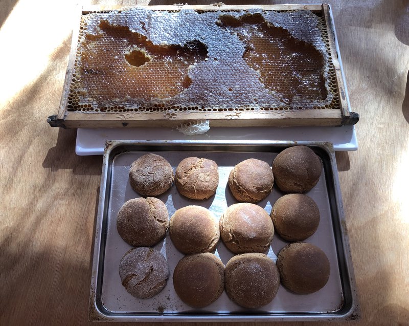 Little Kindy enjoy fresh honeycomb with their baked bread