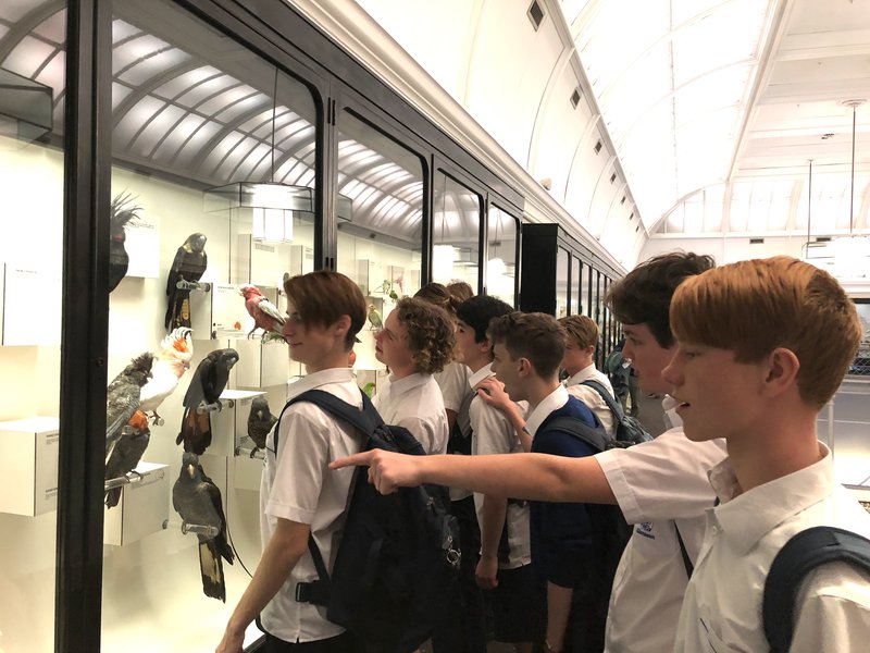 Year 10 Sydney Science Festival excursion
