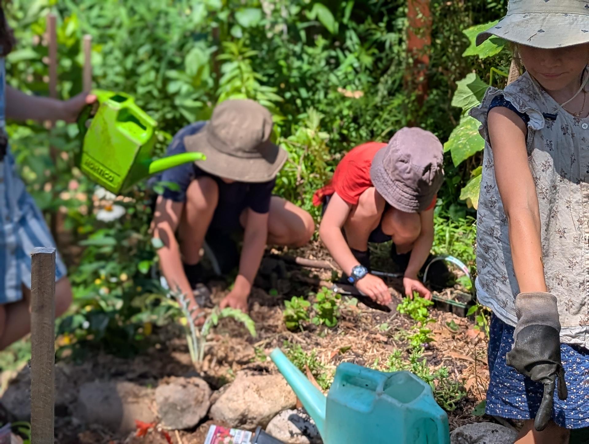 Castlecrag Campus Welcomes Class 3