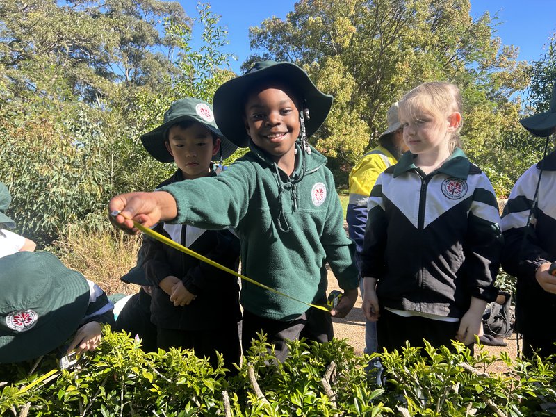 Kindergarten's green day out