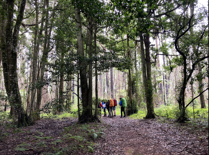 Gold Duke of Ed Trip 2022