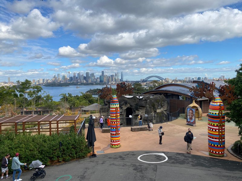 Year 12 Geography excursion to Taronga zoo