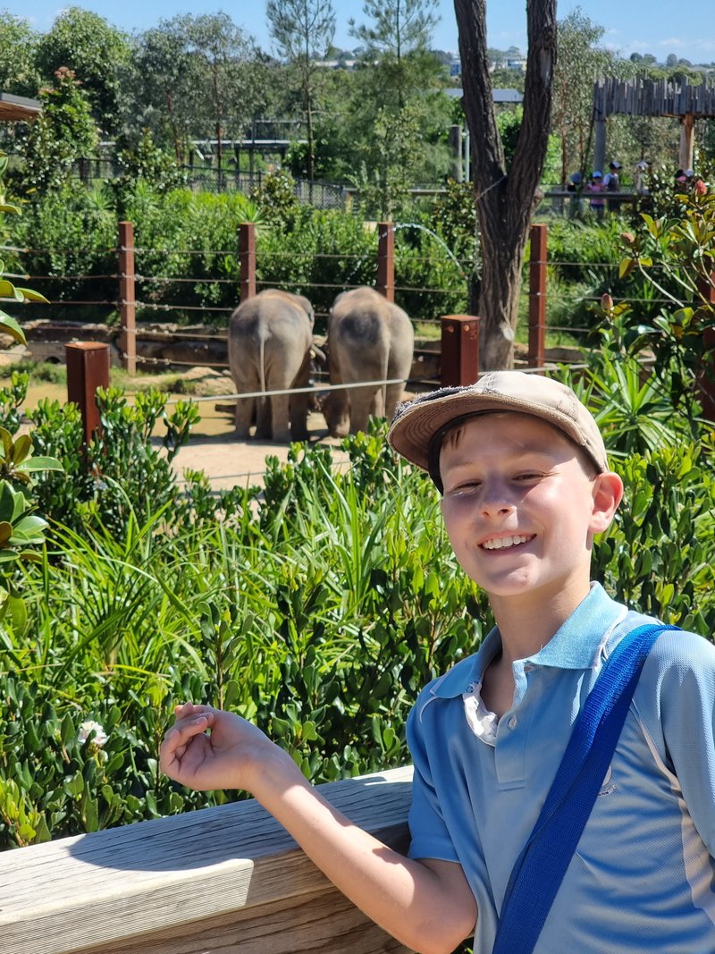 Year 6 Sydney Zoo Excursion